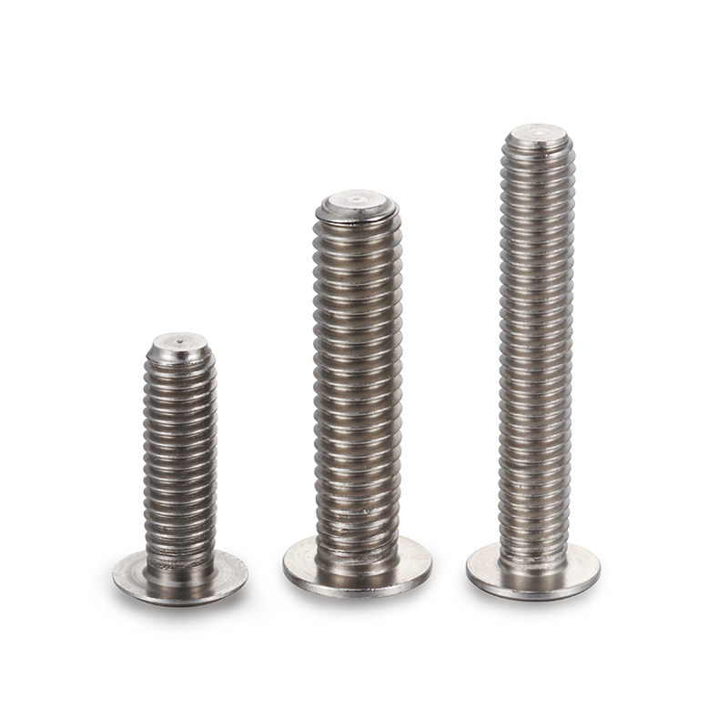 Tornillo de acero inoxidable