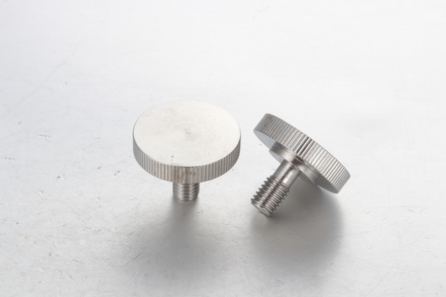 สกรูยึดหัวแบนขนาดใหญ่สแตนเลส RNCB