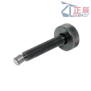 Vite di regolazione dell'altalena ZT60