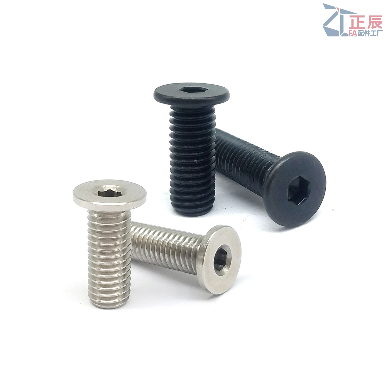 Ultra Low Head Hexagon Socket Head Cap Screws CBSS CBSTS from China